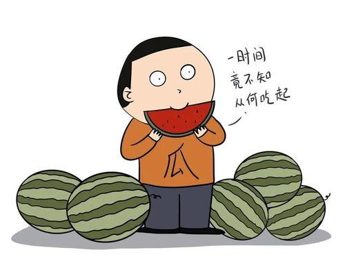 带你吃瓜讲明朝,明朝那些事儿