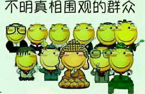 吃瓜群众阿浦