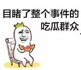 板仑吃瓜群众,揭秘乡村生活百态