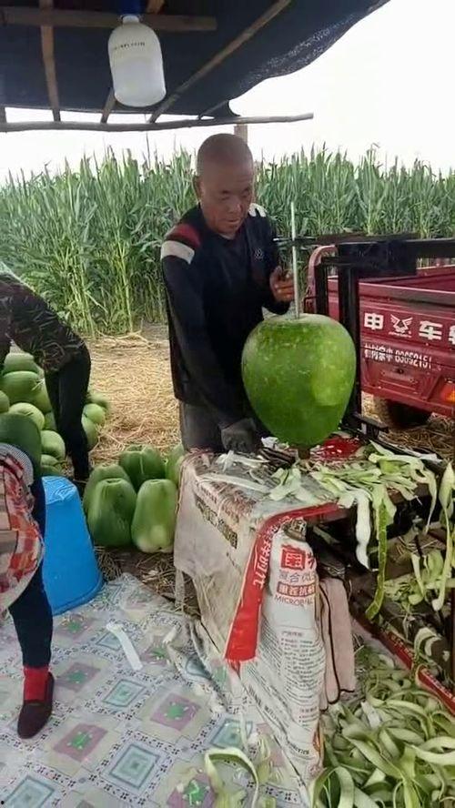 大爷打架吃瓜,围观群众化身“吃瓜群众”