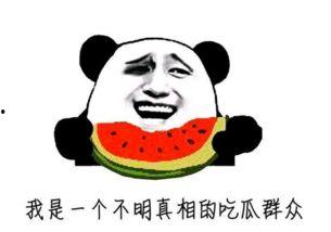 吃瓜牛逼姐