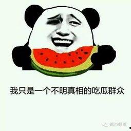 暴躁的吃瓜姐,揭秘娱乐圈风云背后的麻辣点评