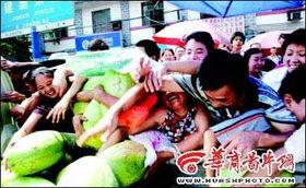 目击证人吃瓜,揭秘事件背后惊人真相