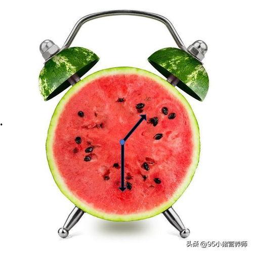 吃瓜小图,一场视觉盛宴的诞生