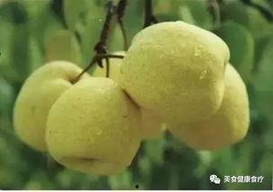 赤梨吃瓜自制