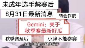 gemini吃瓜会