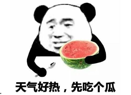 吃瓜大家表情包图片,揭秘网络时代的“围观”文化