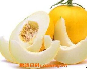 怀孕伊丽莎白瓜可以吃吗,安全食用指南
