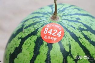 吃瓜太多跑厕所