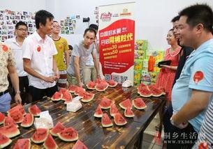 桐乡吃瓜直播,带你领略当地美食风情