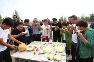 怎么吃老汉瓜好吃,解锁最佳食用之道