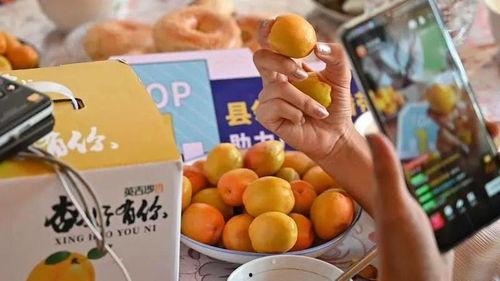 新疆近期吃瓜事件